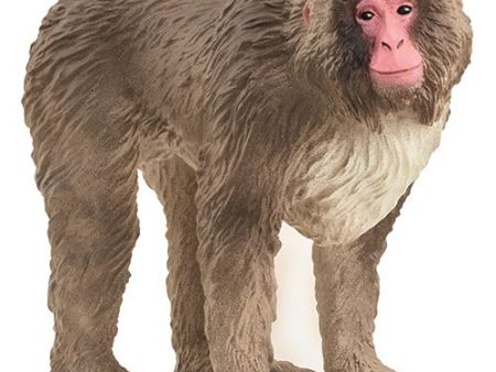 Figura Vida Selvagem: Macaco Japonês - Schleich Online Hot Sale