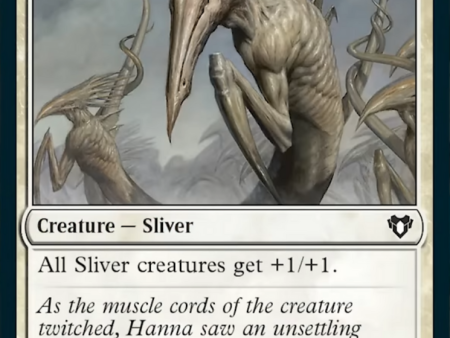 Sinew Sliver [Commander Masters] Cheap